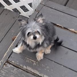 Photo for 162065 [Profit]