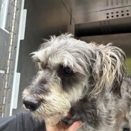 Photo for 162070 [391647]