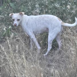 Photo for 162073 [Blumbo]