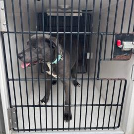 Photo for 162075 [391649]