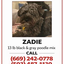 Photo for 162105 [Zadie]