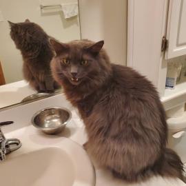 Photo for 162107 [Pi ]