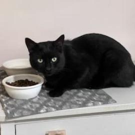 Photo for 162114 [Frankie machine]