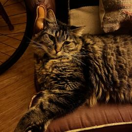 Photo for 162149 [Mis]