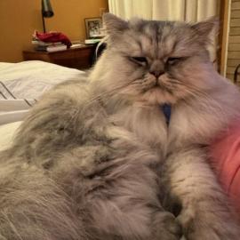 Photo for 162182 [Winter]