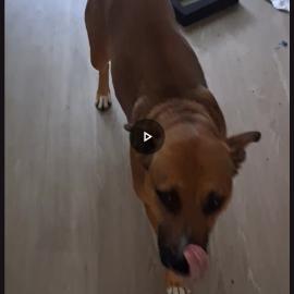 Photo for 162247 [Echo]