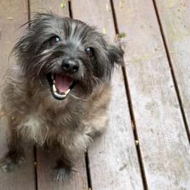 Photo for 162295 [Unknown]