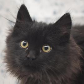 Photo for 162322 [348005]