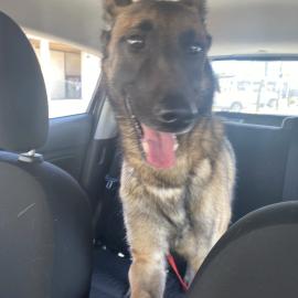 Photo for 162338 [Unknown]