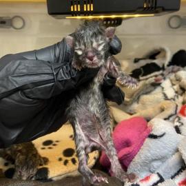 Photo for 162416 [348075]