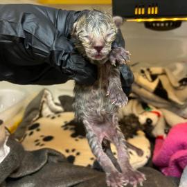 Photo for 162418 [348076]