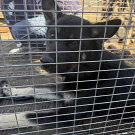 Photo for 162423 [fr162423]