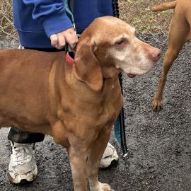 Photo for 162468 [Inko]