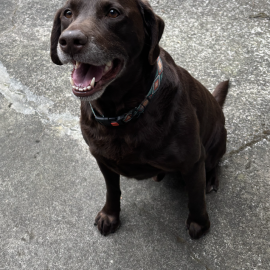 Photo for 162510 [fr162510]