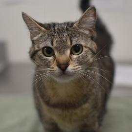 Photo for 162658 [348324]