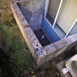 Photo for 165922 [fr165922]