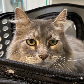 Photo for 170509 [401329]