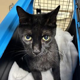 Photo for 170515 [Morgan]
