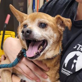 Photo for 170523 [401341]