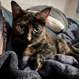 Photo for 171567 [Cleo]