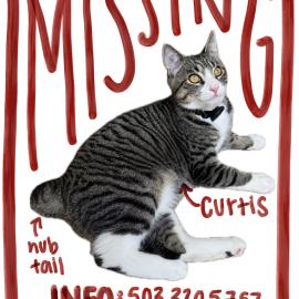 Photo for 172558 [Curtis]