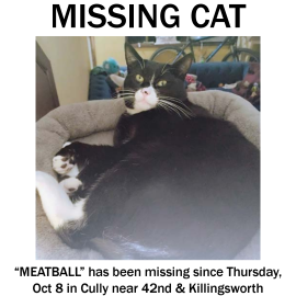 Photo for 174421 [Meatball]