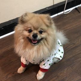 Photo for 175426 [Reggie]