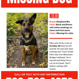 Photo for 175722 [Niko]