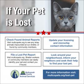 If Your Pet is Lost