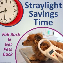 Straylight Savings Time Graphic