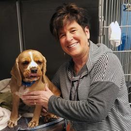 Volunteer comforting a dog post surgery