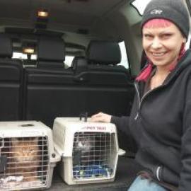 Lip and Cam go to their new home as Kitties for Hire