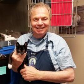 Man standing in front of a cat kennel holding a kitten in one hand