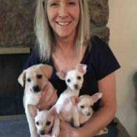 Woman holding an adult dog and her puppies