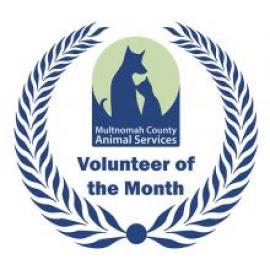 Volunteer of the month logo