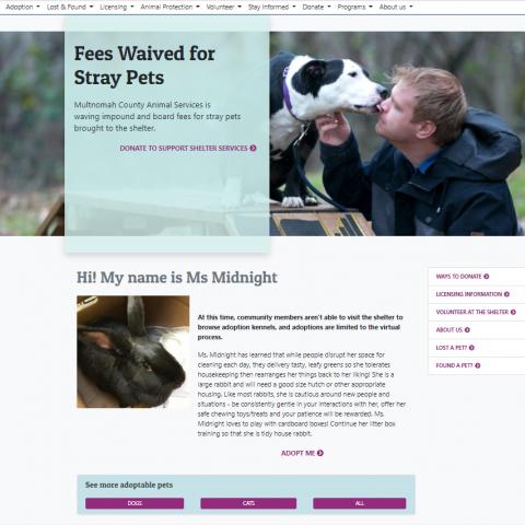 New website screenshot