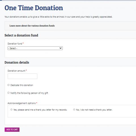 Online Donation Screen Preview