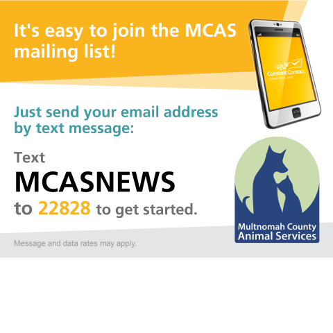 Text MCASNEWS to 22828 to join our mailing list.