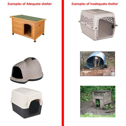 Adequate Shelter Guide