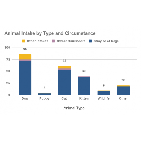Animal Intake by Type and Circumstance- November 2020