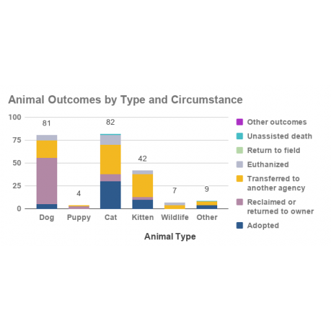 Animal Outcomes by type and circumstance - November 2020