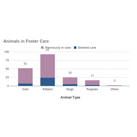 Animals in Foster Care- November 2020