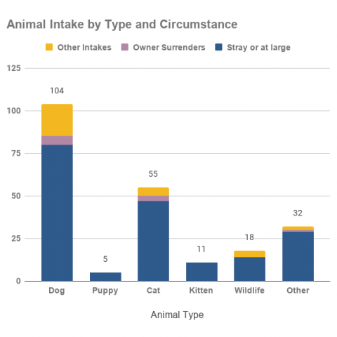 Animal Intake by Type and Circumstance