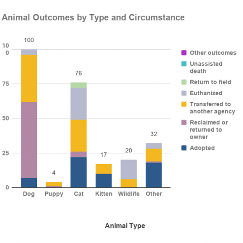 Animal Outcomes by Type and Circumstance
