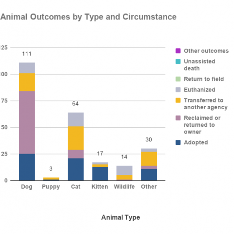 January 2021 outcomes by animal type and circumstance