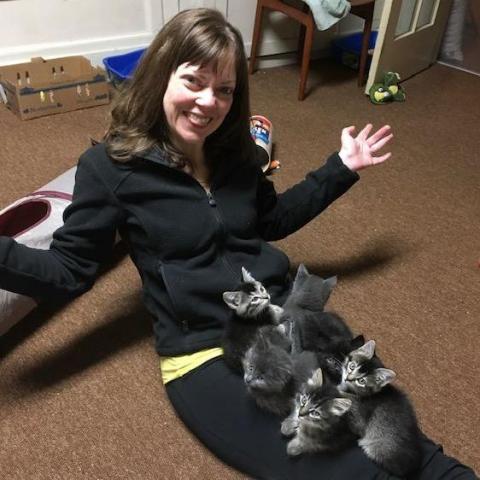 Ronda with a litter of kittens