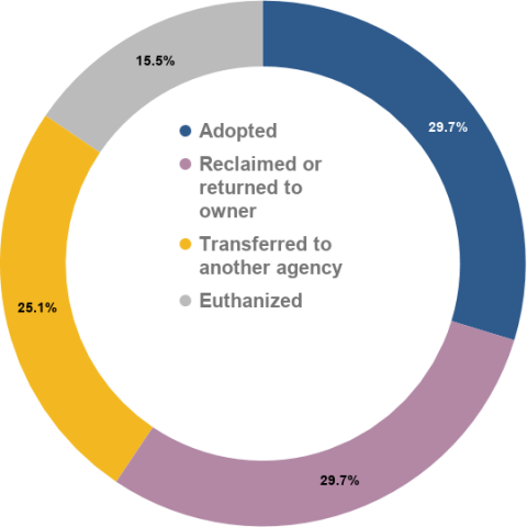 January 2020 animal outcome percentages