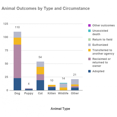 Animal outcomes by animal type and circumstances for February 2021
