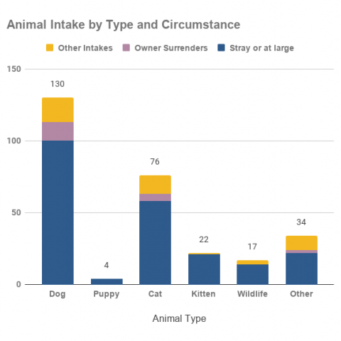 March 2021 animal intake