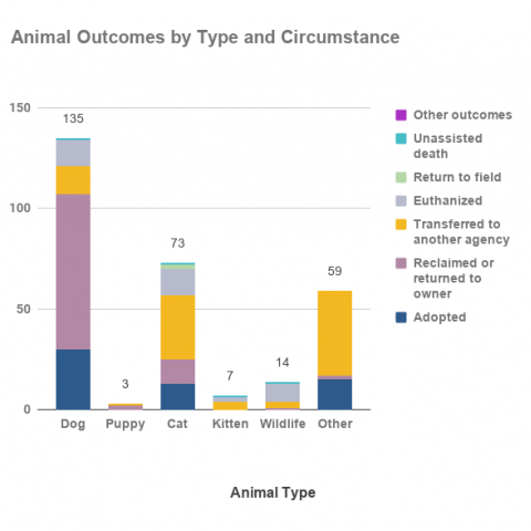 March 2021 animal outcomes